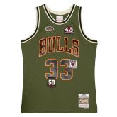 Mitchell & Ness Flight Scottie Pippen Chicago Bulls Swingman Jersey - Zielony - Jersey