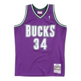 Mitchell & Ness NBA Milwaukee Bucks Ray Allen Swingman Jersey - Purpurowy - Jersey